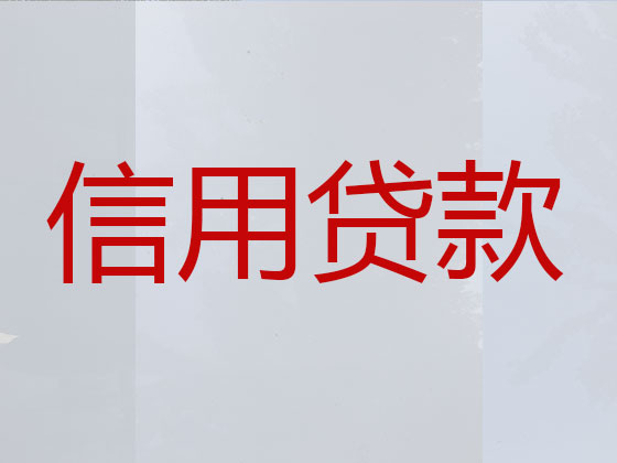 葫芦岛本地贷款公司